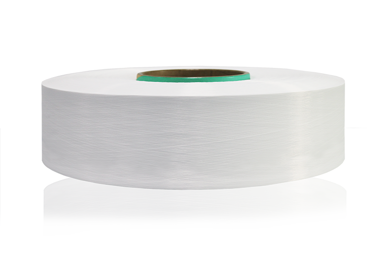 Differentiated Nylon 6/PA 6-Differentiated Nylon 6/PA 6