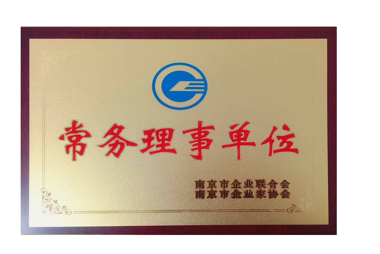 南京市企业家协会常务理事单位