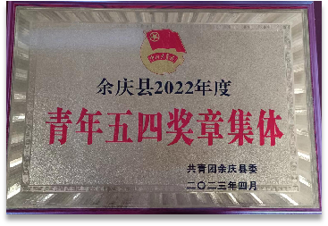 青年五四獎章集體