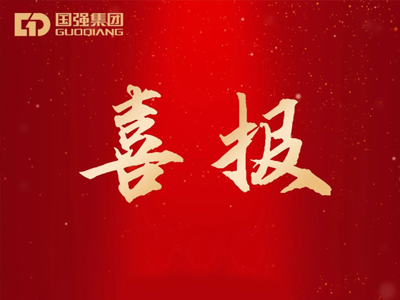 喜報！江蘇國強集團再次榮登中國民營企業(yè)500強榜單