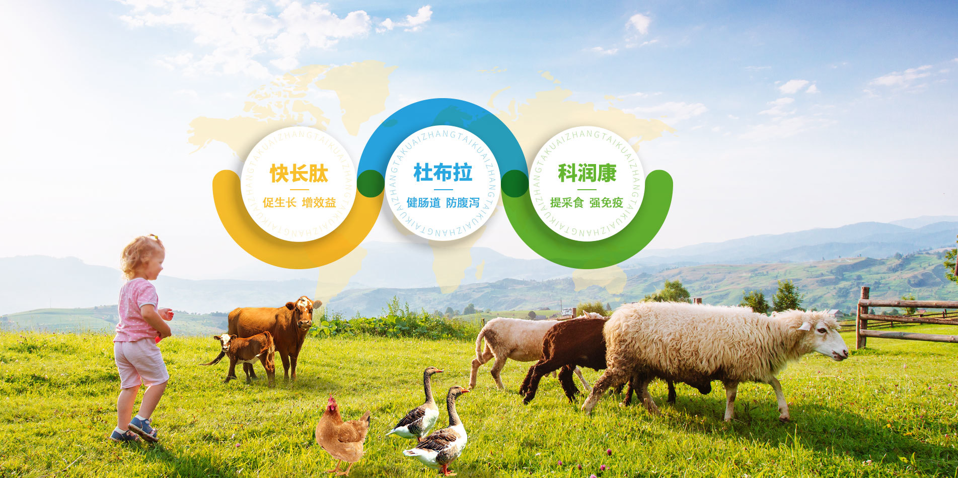 產(chǎn)品