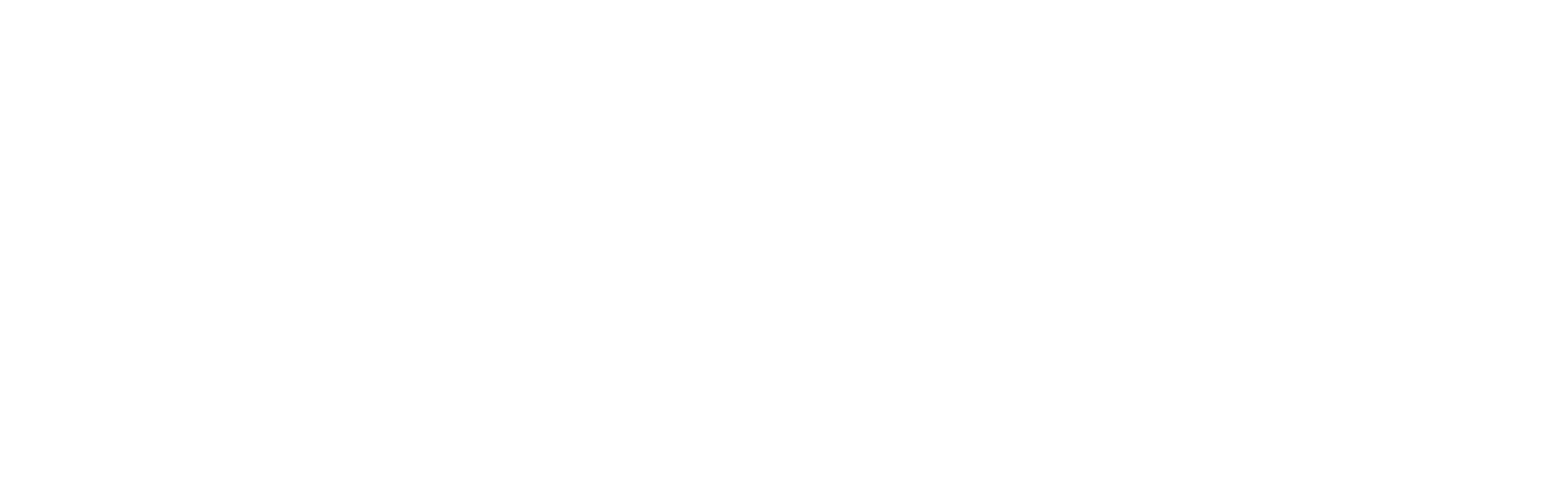賽立安