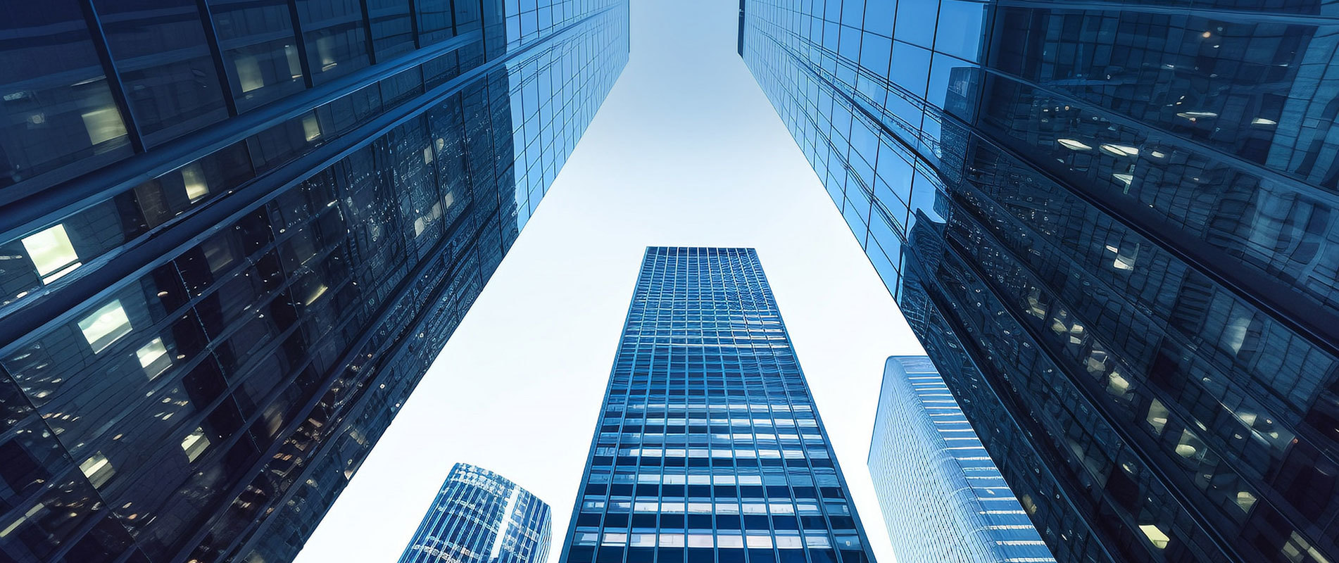 Business Scope
