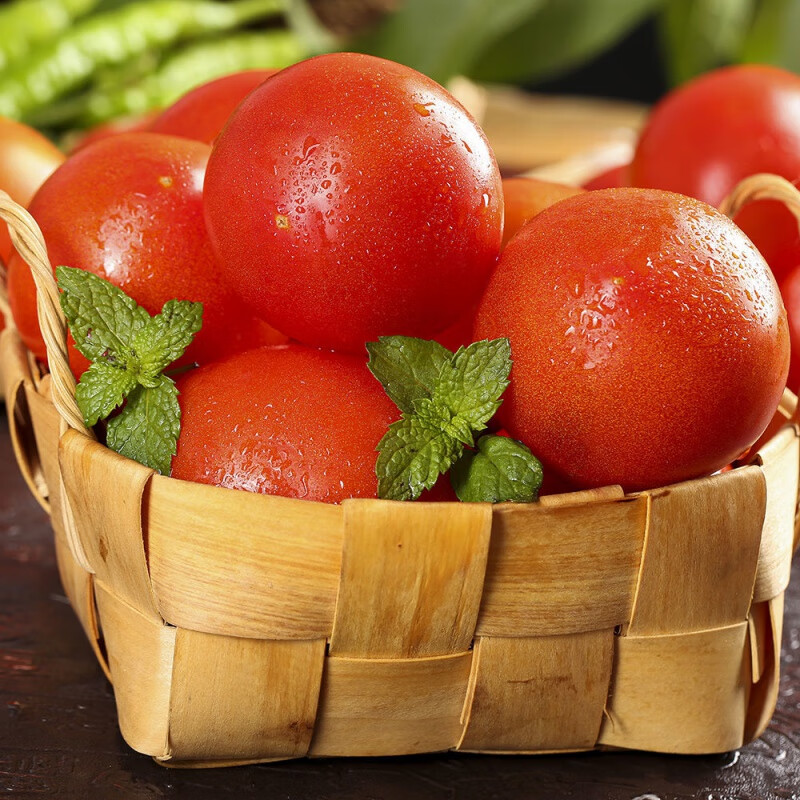 番茄的秘密——浓郁酸甜，只为一口好汤底！