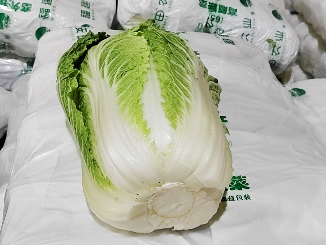 大白菜