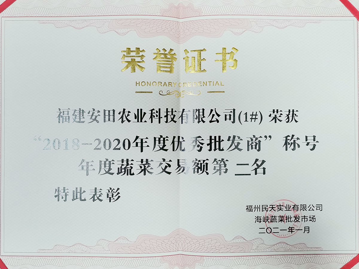 2018-2020尼氨優秀批發商年度蔬菜交易額第二名
