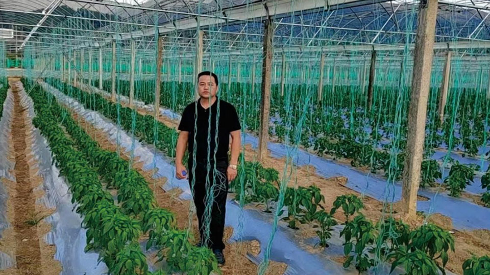 種植基地