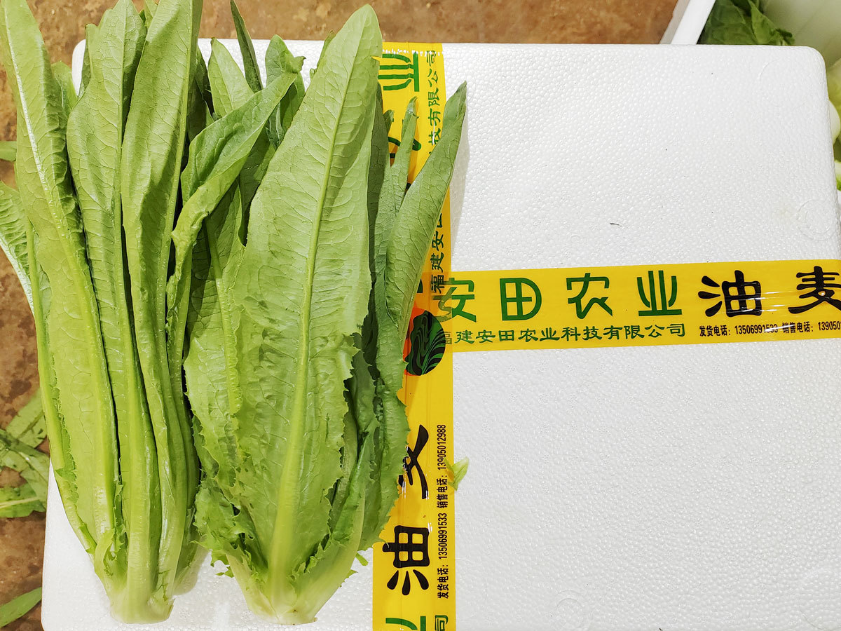 油麥菜