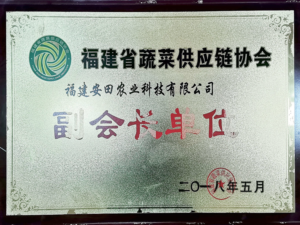 2018福建省蔬菜供應鏈協會-副會長單位