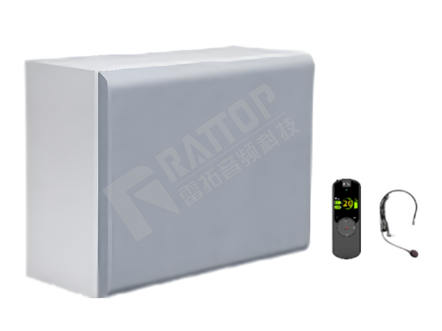 智慧云平台广播系统网络音箱（2*30W）