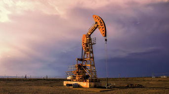What are the talent demands in the oil drilling pipe industry