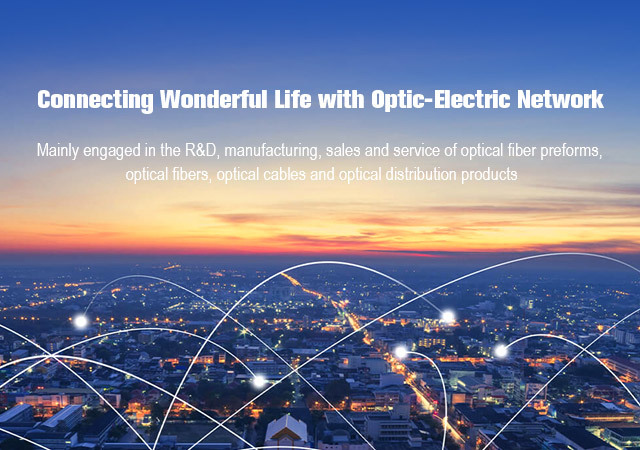 Connecting Wonderful Life with Optic-Electric Network