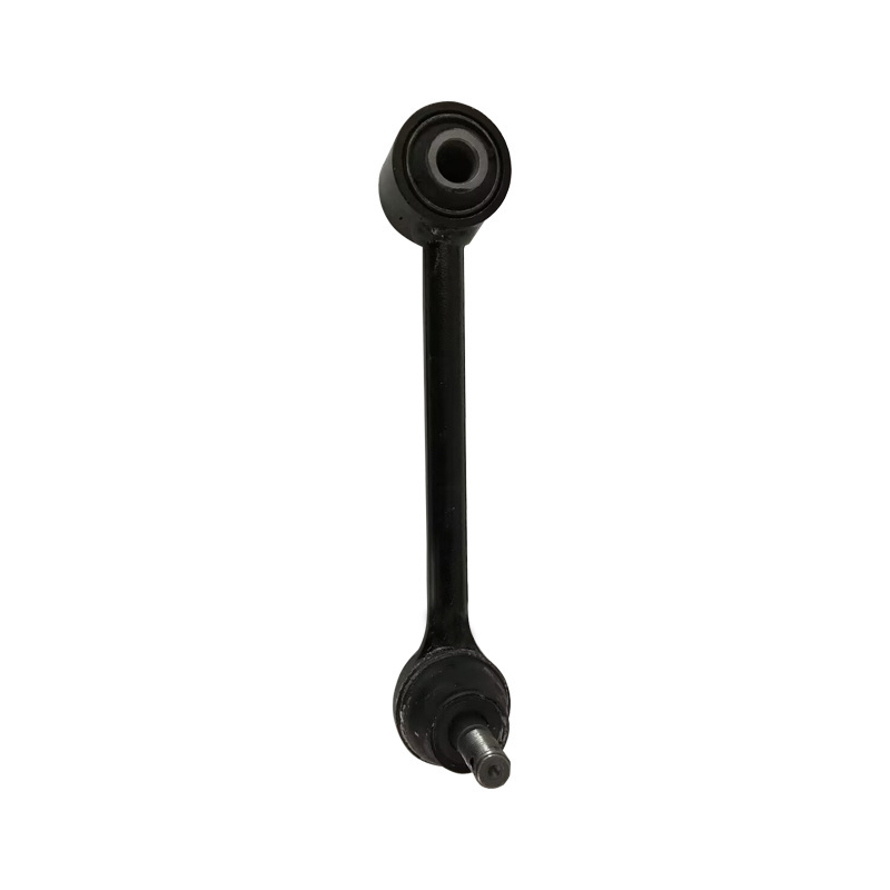Rear auxiliary arm assembly
