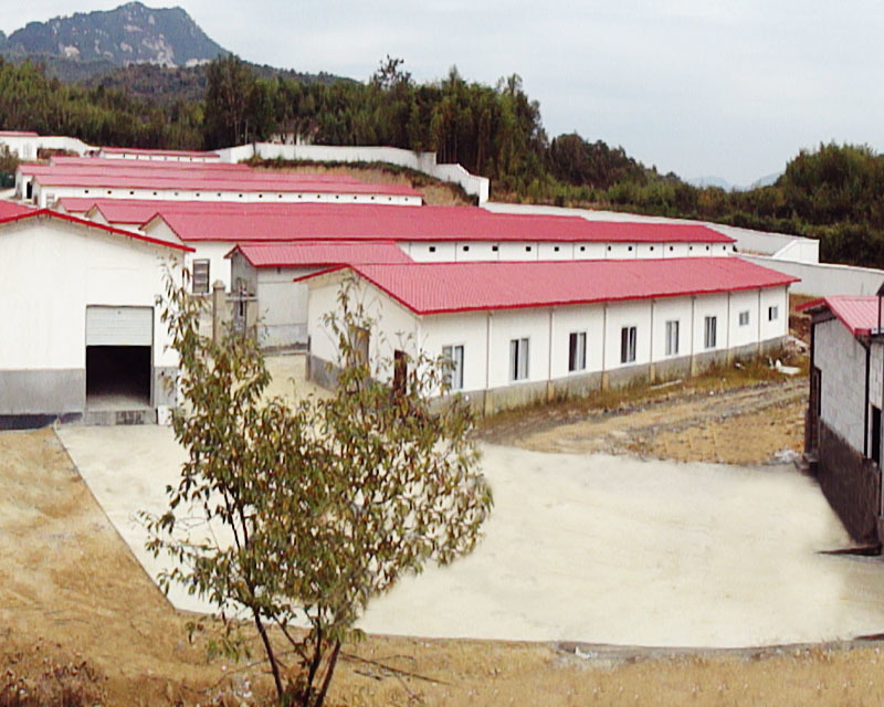 Four kinds of chicken breeding base