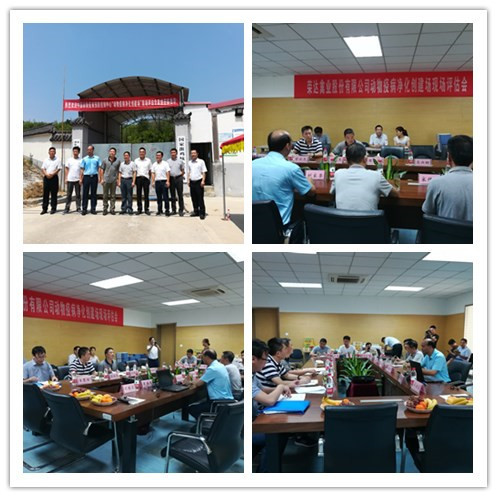 荣达禽业育种中心“动物疫病净化创建场”通过评估专家组现场评估
