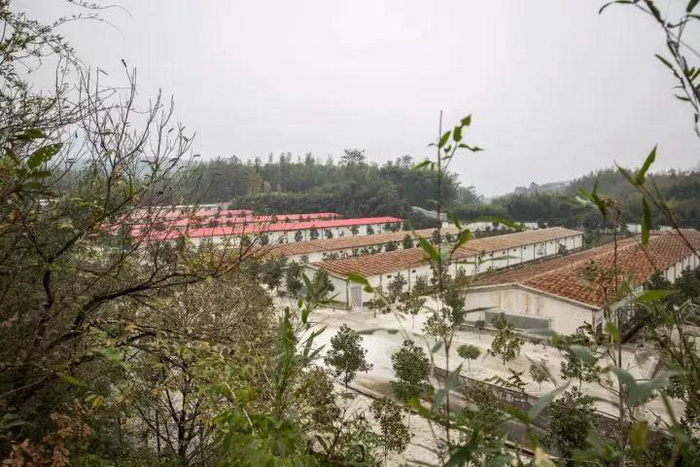 凤达鸡蛋入驻杭州、宁波区域盒马鲜生啦！