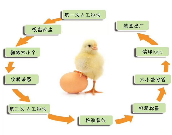 凤达鸡蛋入驻杭州、宁波区域盒马鲜生啦！