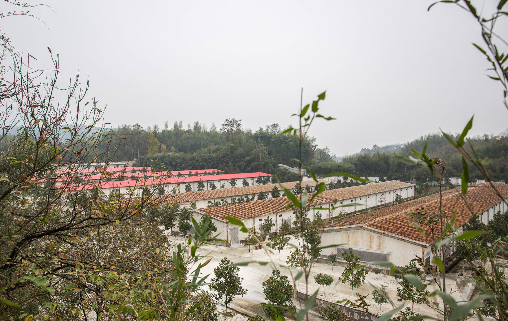 公司简介
