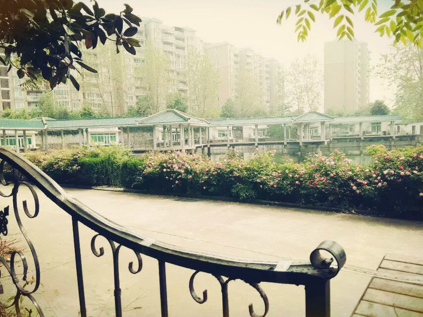 校外环境