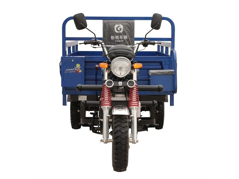 200CC Powerful Fuel Cargo 3 Wheel