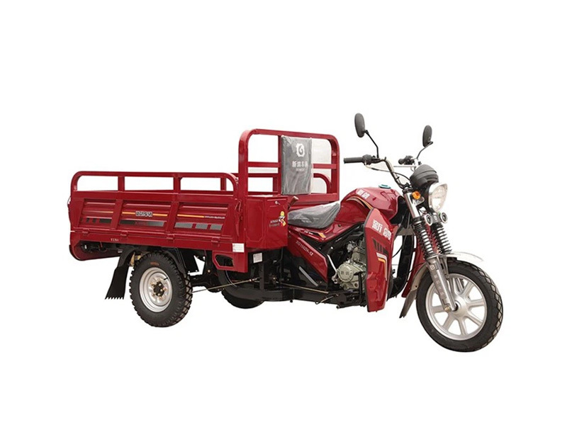 150cc Adults Powered Passenger 3 Wheeler Cargo Tricycle