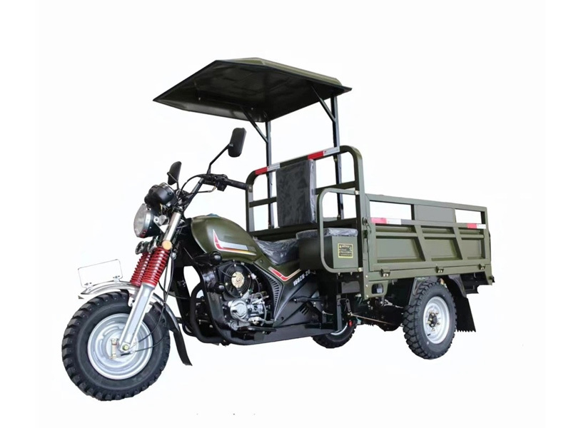 Fuel Tricycle With Driver Canopy