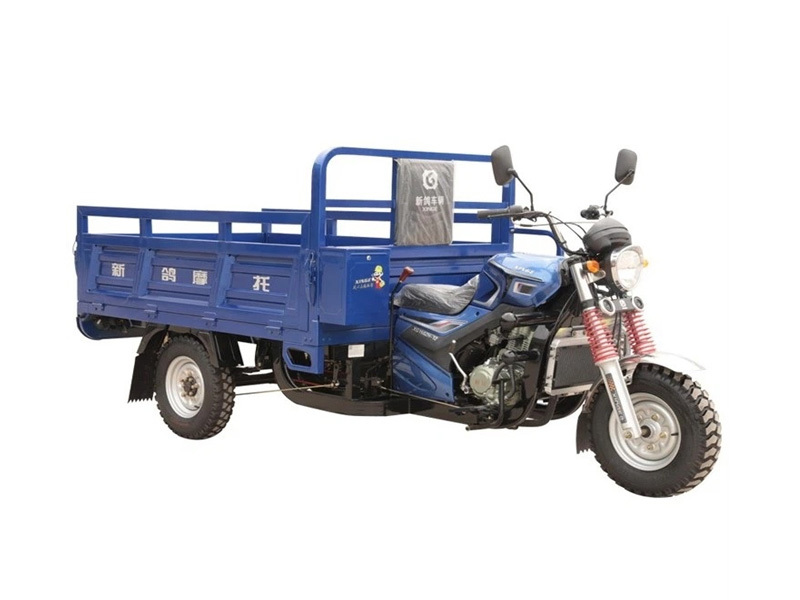 200CC Powerful Fuel Cargo 3 Wheel