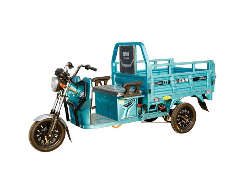 Farm Using 800W Economical Electric Tricycle