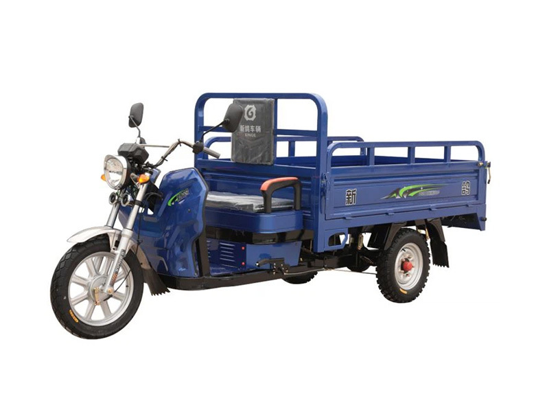 1500W Motor Electric Truck Cargo Tricycle