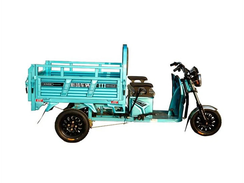 Farm Using 800W Economical Electric Tricycle