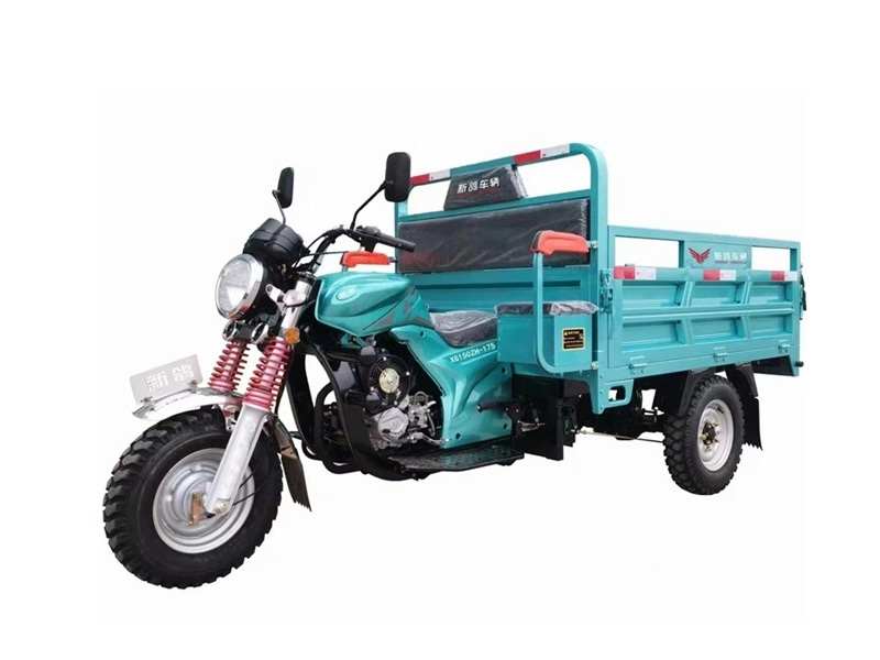 175CC Adult Load 3 Wheel Gasoline Cargo Tricycle