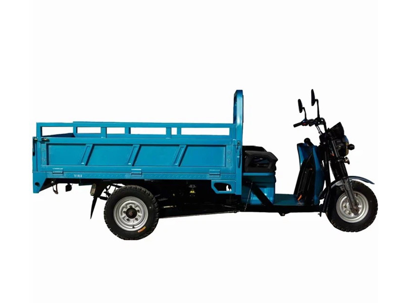 High Quality Cargo Saving Energy Load Electric Tricycle