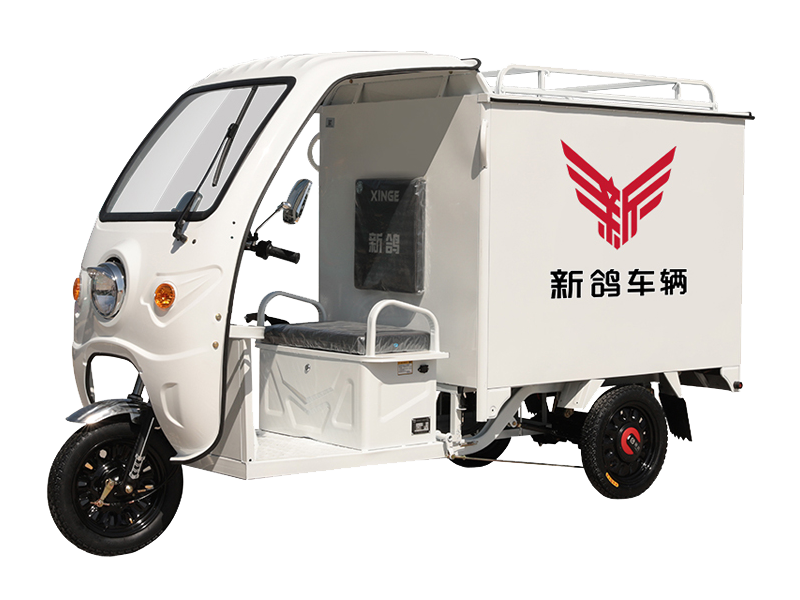 3 Wheel 800W Electric Express