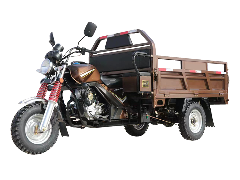 Three Wheel Motorcycle for Cargo