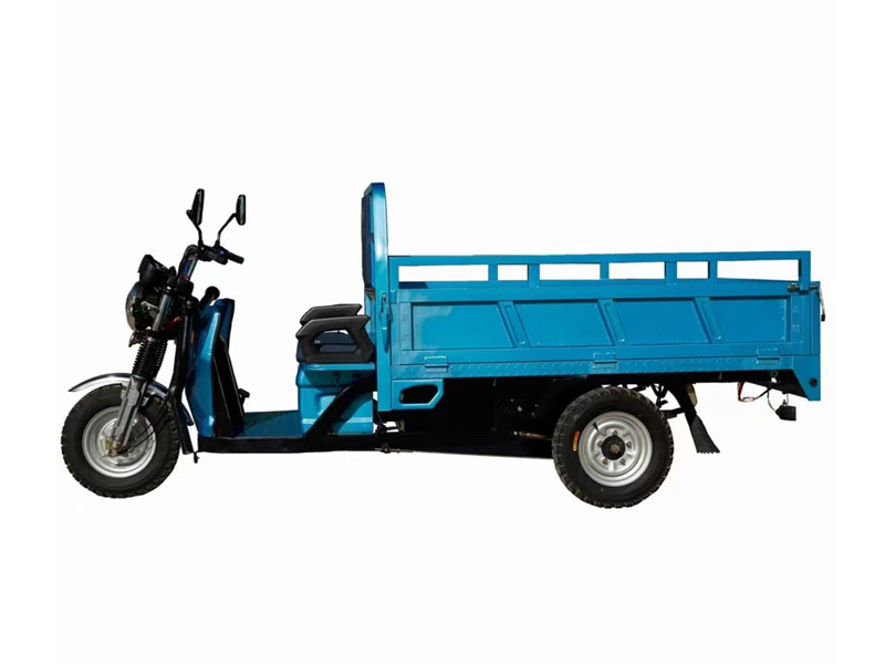 High Quality Cargo Saving Energy Load Electric Tricycle