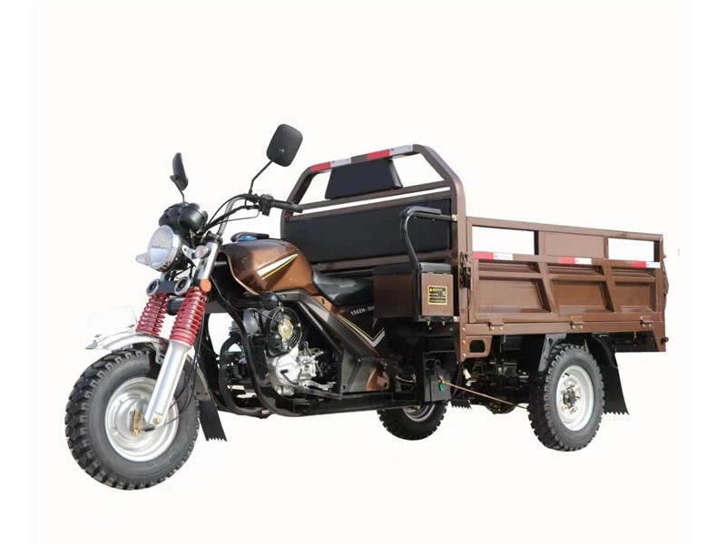 150CC Gasoline 3 Wheel Cargo Motorcycle Tricycle