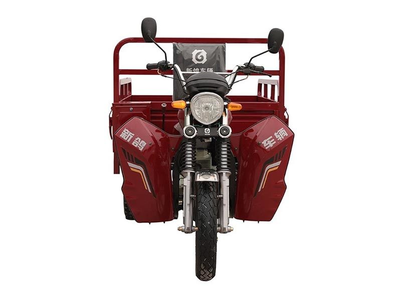 150cc Adults Powered Passenger 3 Wheeler Cargo Tricycle