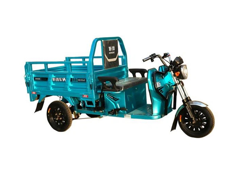 Farm Using 800W Economical Electric Tricycle