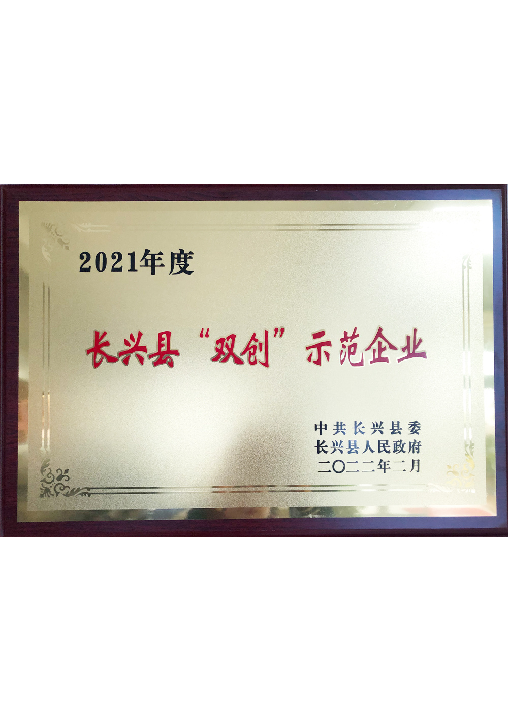 2021年度雙創(chuàng)示范企業(yè)