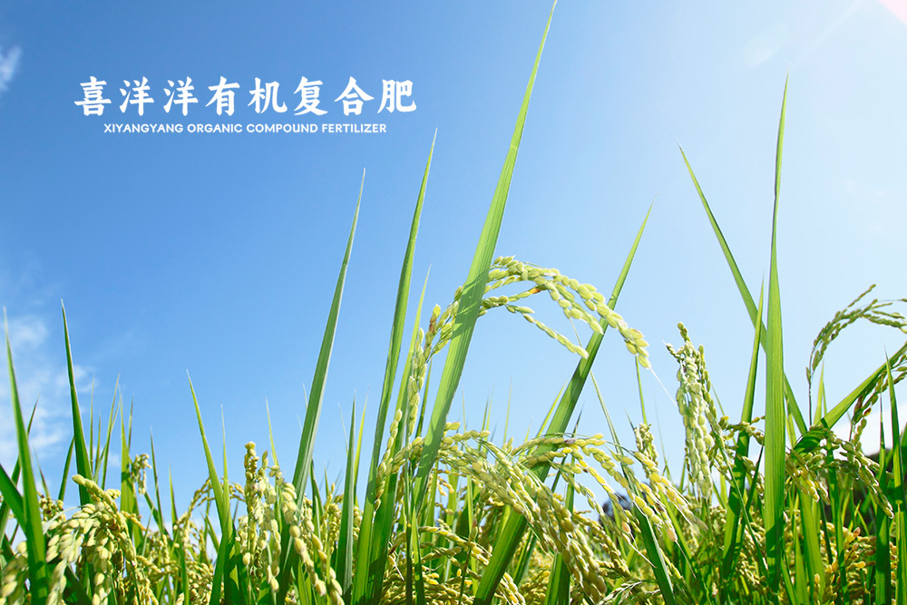 視頻標(biāo)題 視頻標(biāo)題