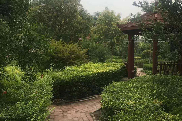 厂区一览