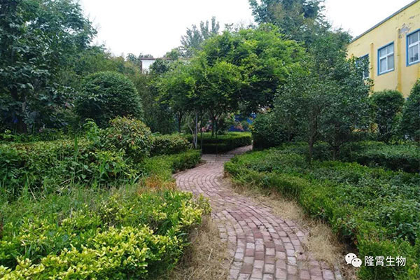 厂区一览