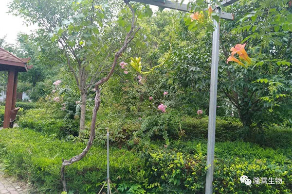 厂区一览