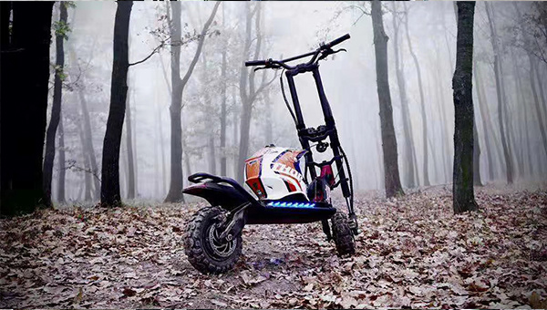 E-SCOOTER motor