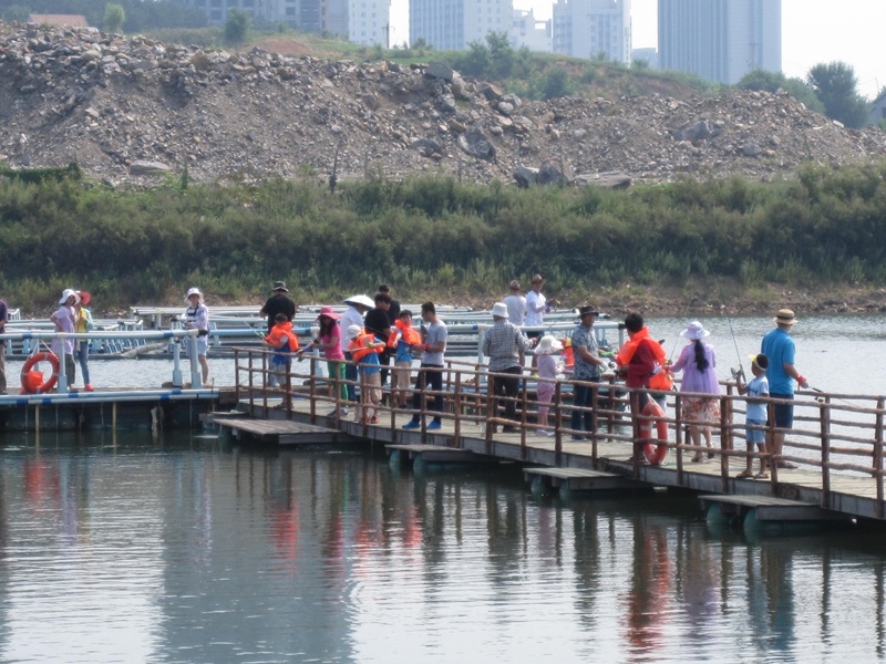 東方福愛心聯(lián)盟走進(jìn)小石島，體驗親親魚