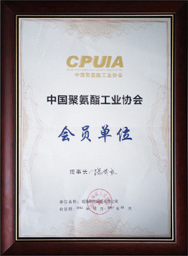 Member of China Polyurethane Industry Association