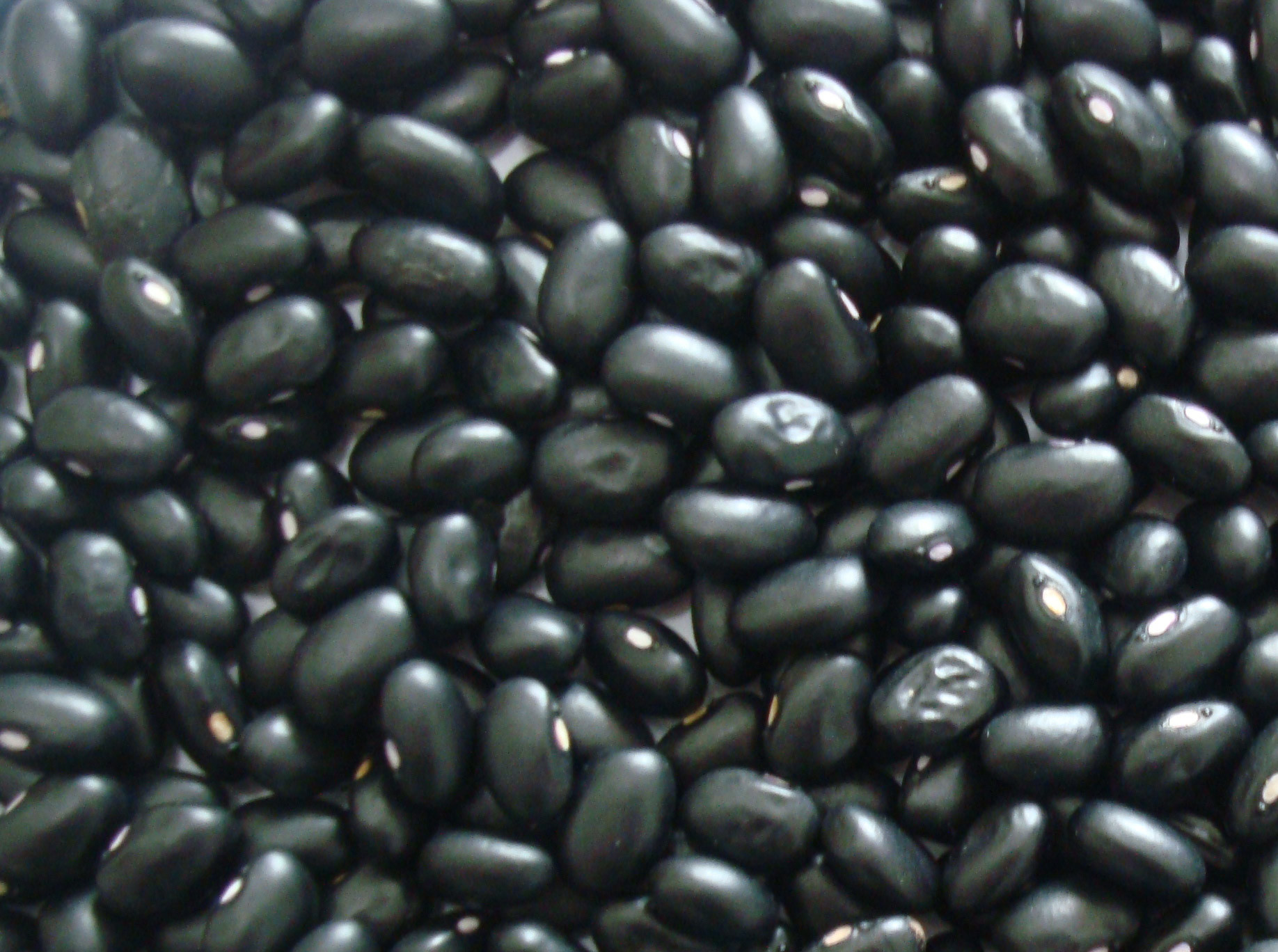 small black beans