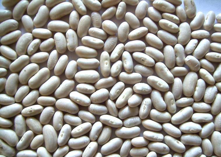 white kidney beans spanish
