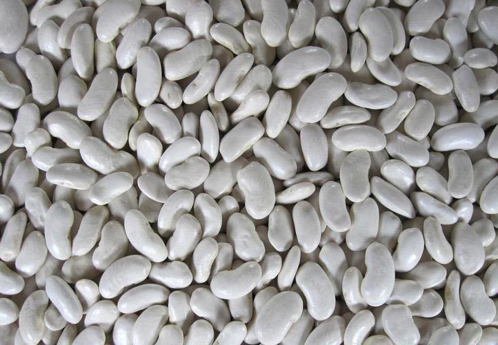 White Kidney Beans(flat shape)