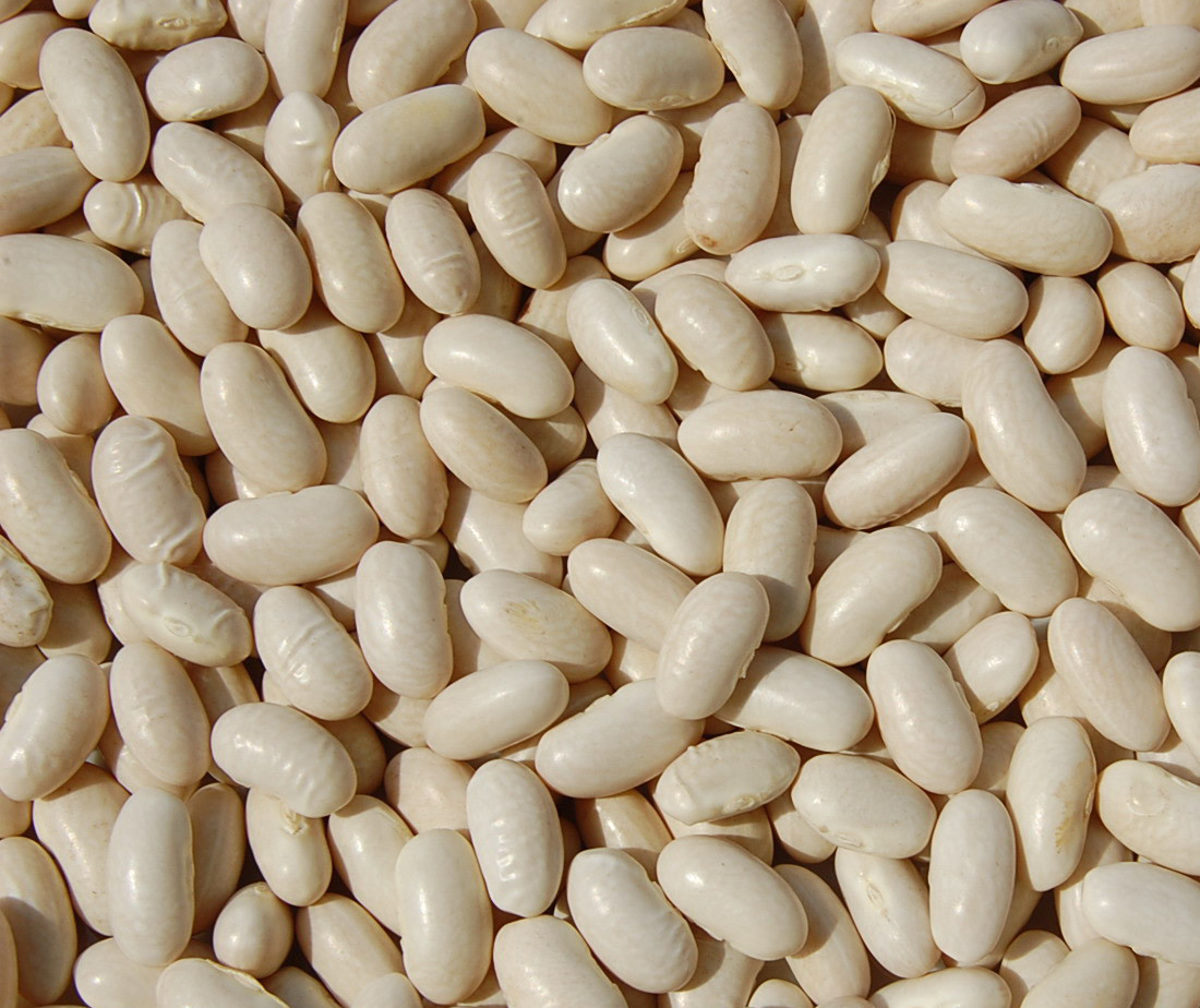 white kidney beans baishake